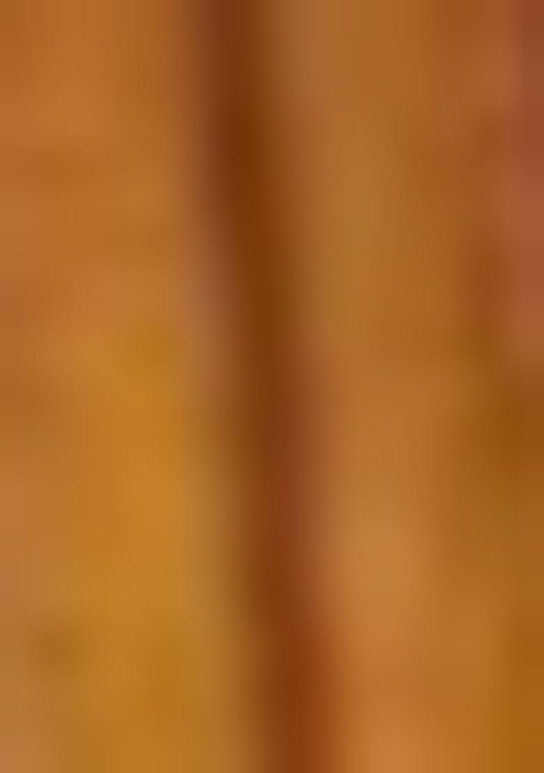 Brown Machine Embroidered Nylon Saree Set