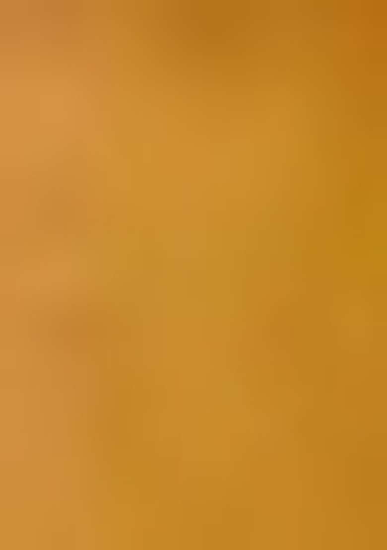 Mustard Yellow Machine Lichi Silk Blend Saree Set with Embroidered for Diwali | Wedding & Festive Wear - Indya
