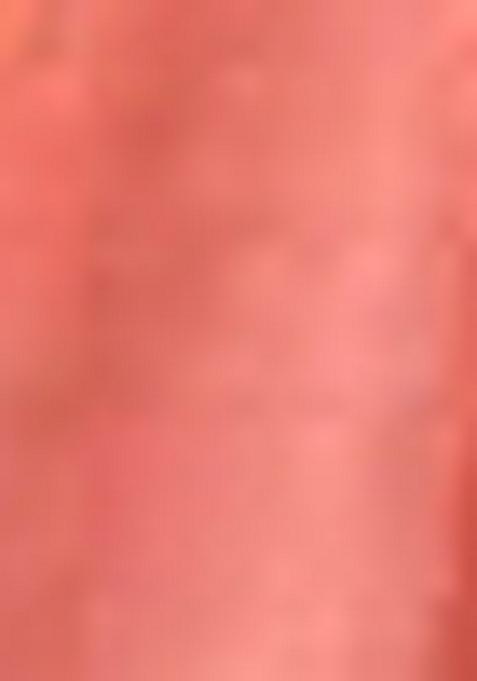 Orange Machine Embroidered Lichi Silk Saree Set