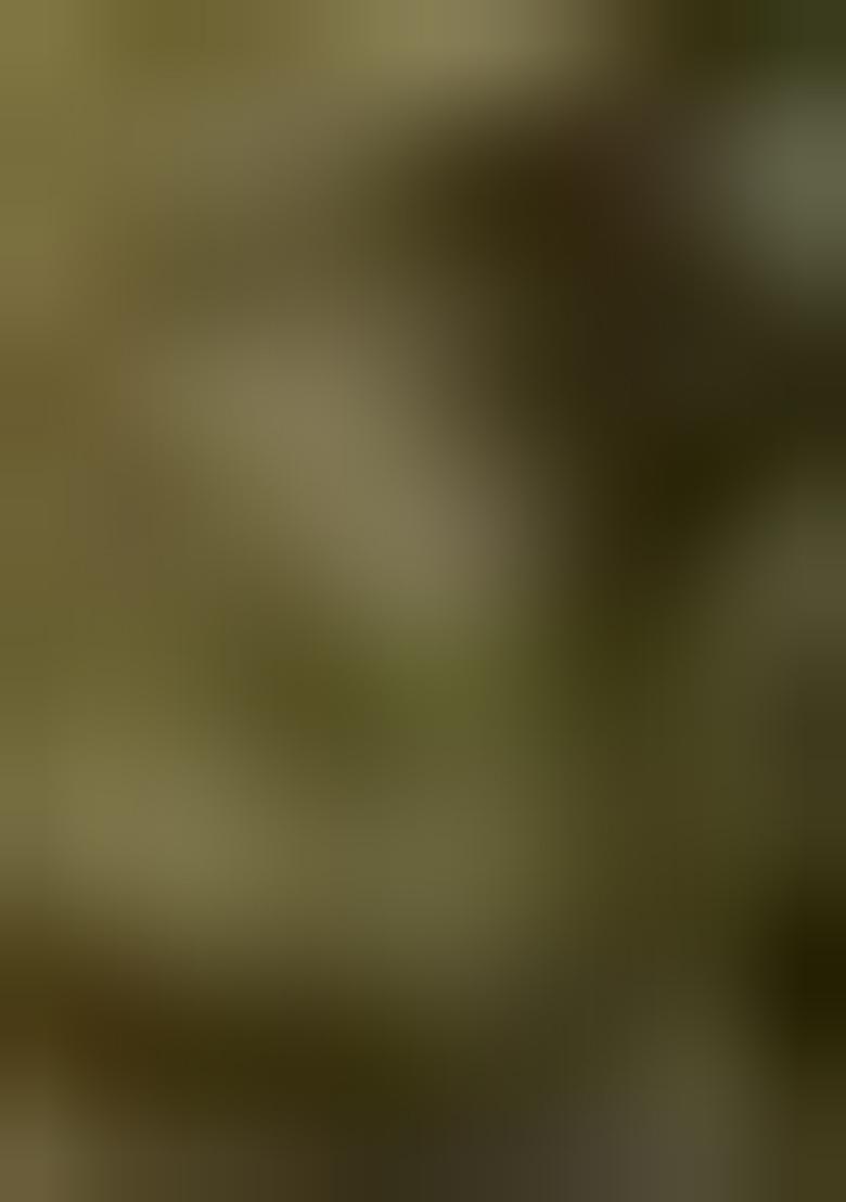 Teal Blue Machine Embroidered Lichi Silk Saree Set