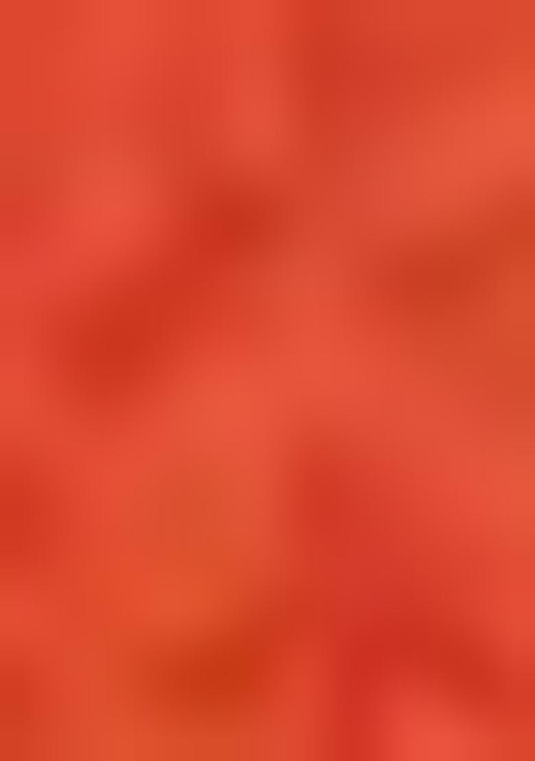 Orange Machine Embroidered Lichi Silk Saree Set