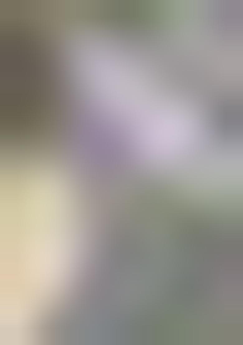 Grey Machine Embroidered Lichi Silk Saree Set