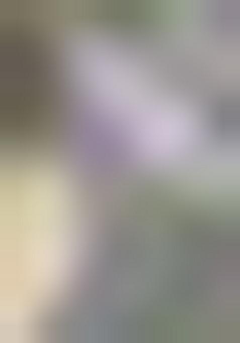 Grey Machine Embroidered Lichi Silk Saree Set