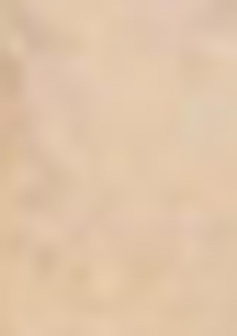 Cream Machine Embroidered Lichi Silk Saree Set