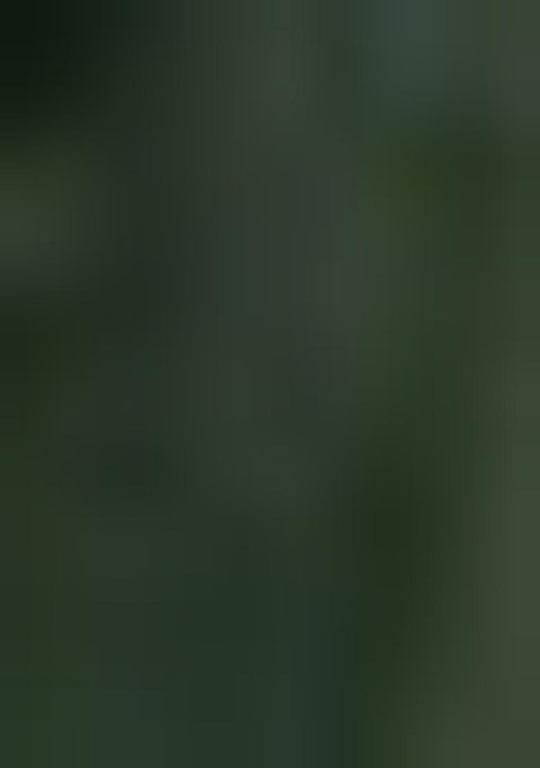 Green Machine Embroidered Banarasi Silk Saree Set