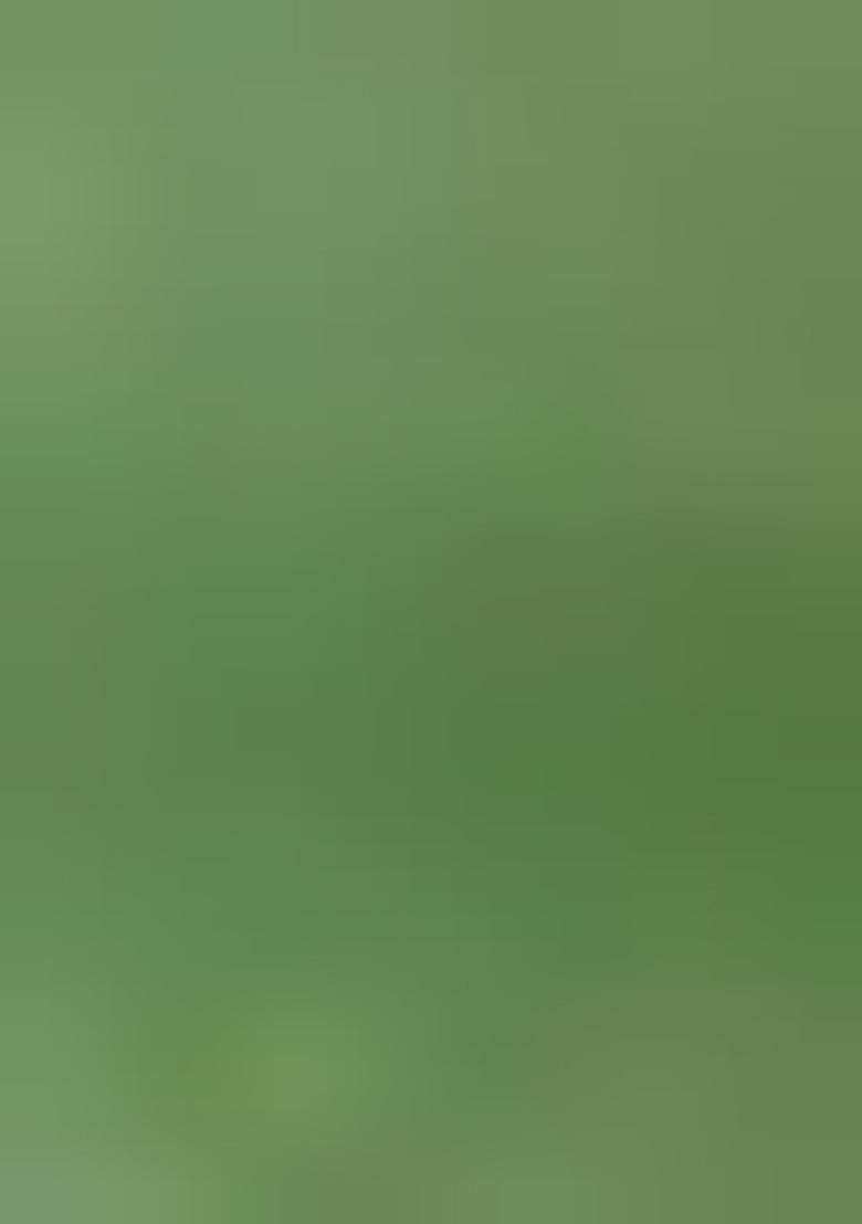 Green Machine Embroidered Linen Saree Set