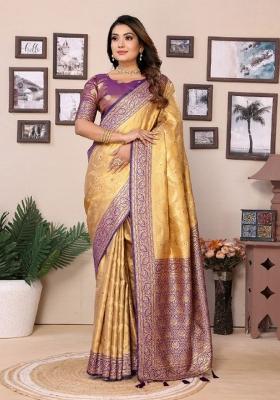 Multicolor Jacquard Weaving Banarasi Silk Saree Set