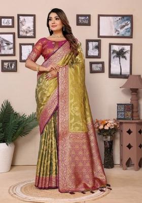 Multicolor Jacquard Weaving Banarasi Silk Saree Set