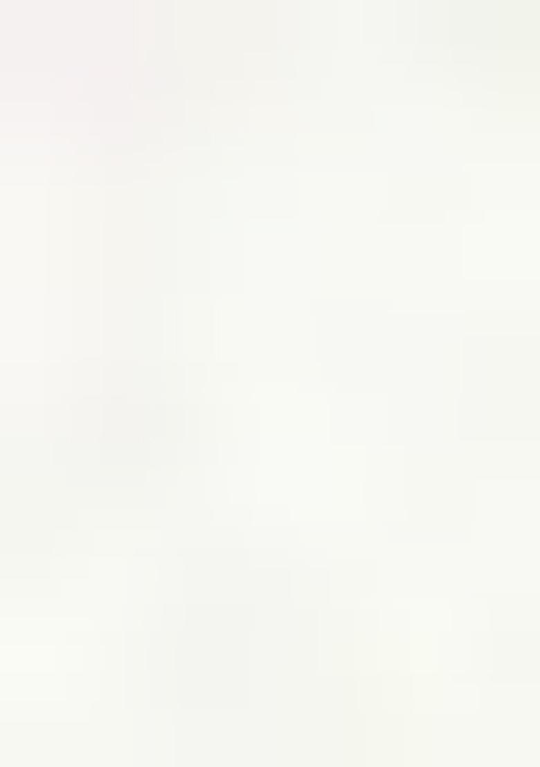 Off White Jamdani Cotton Blend Saree Set