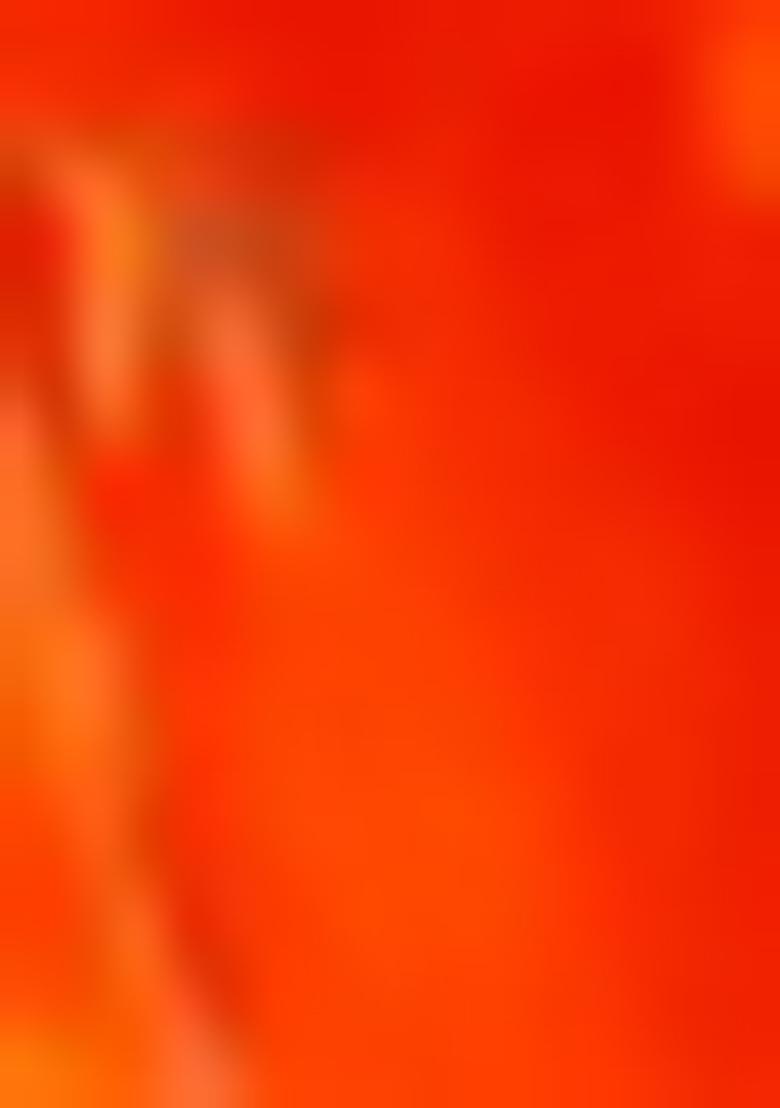 Green Zari Woven Silk Blend Saree Set