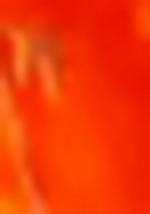 Green Zari Woven Silk Blend Saree Set