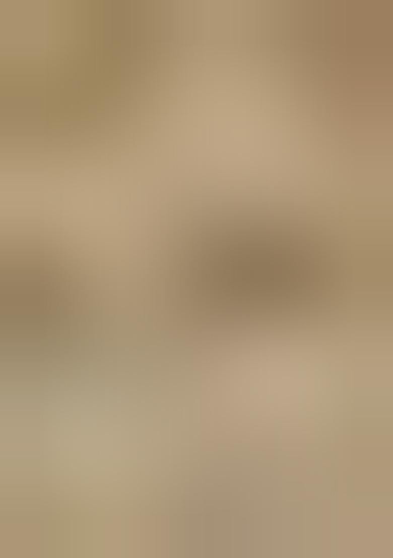 Rust Brown Zari Woven Silk Blend Saree Set