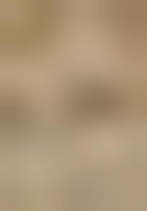 Rust Brown Zari Woven Silk Blend Saree Set