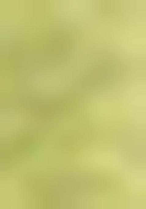 Green Zari Woven Silk Blend Saree Set