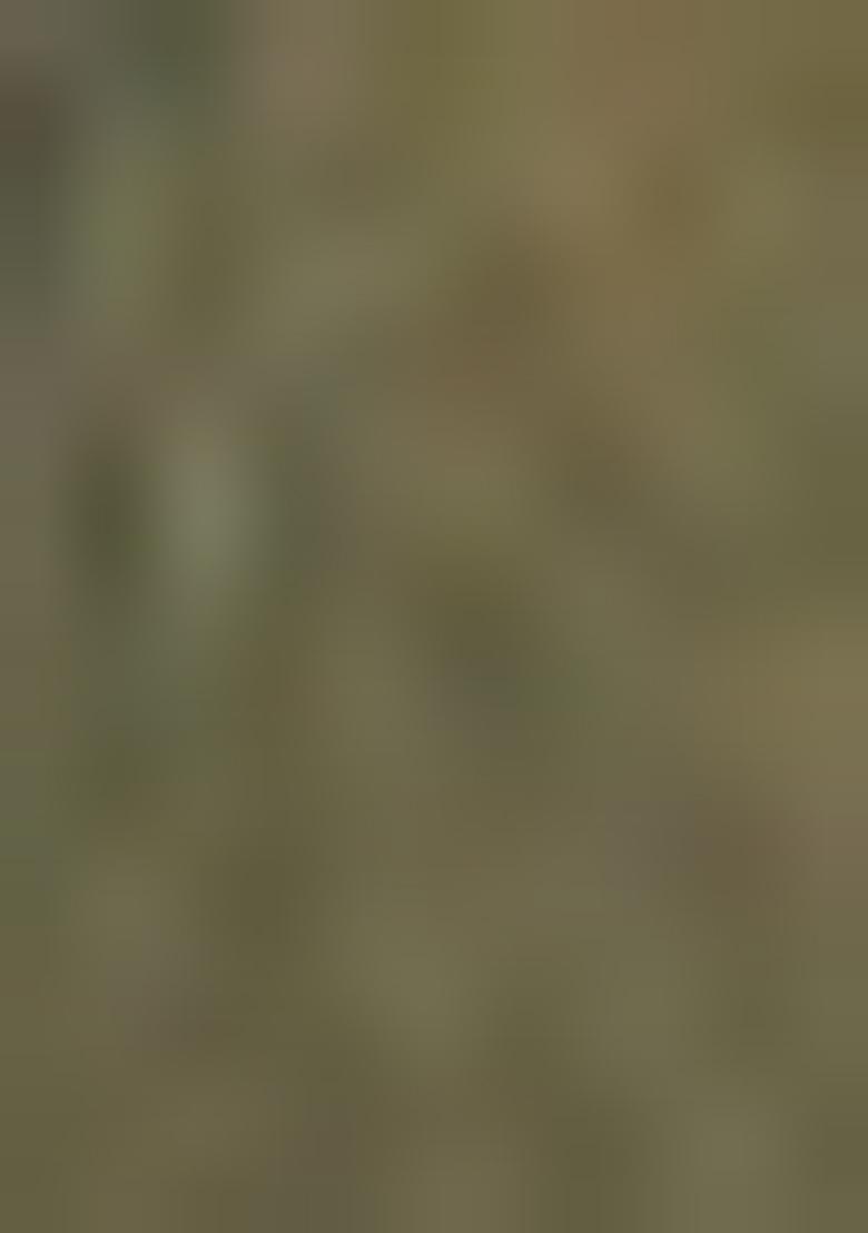 Green Zari Woven Silk Blend Saree Set