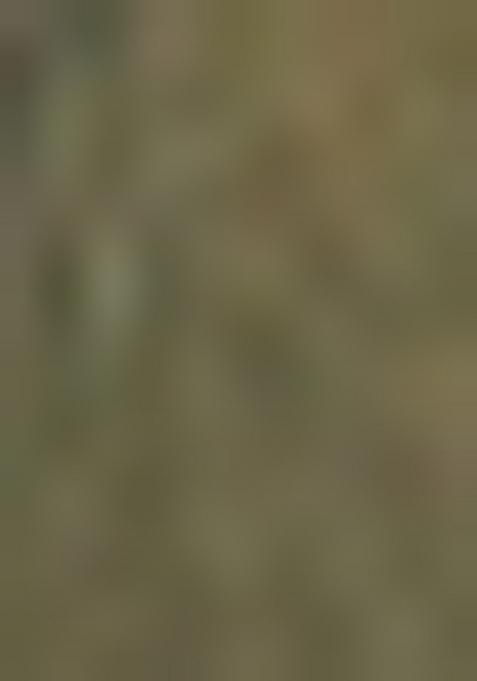 Green Zari Woven Silk Blend Saree Set