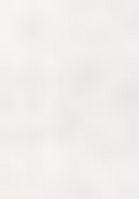 Peach Resham Work Cotton Blend Saree Set