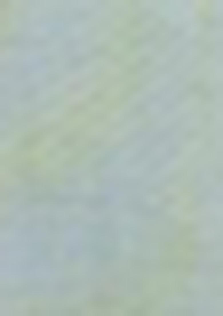 Sky Blue Resham Work Cotton Blend Saree Set