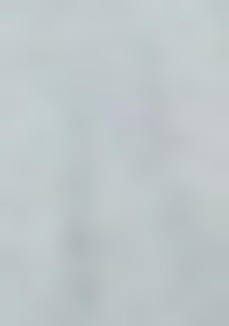 Grey Resham Work Organza Saree Set