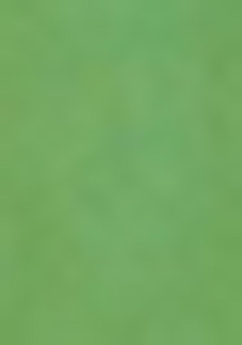 Green Zari Woven Silk Blend Saree Set