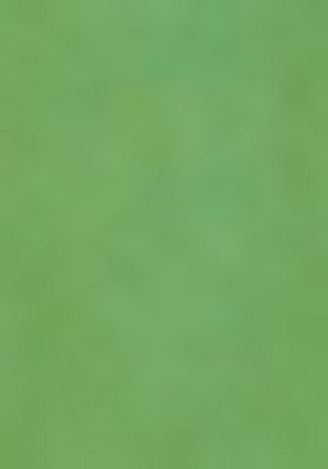 Green Zari Woven Silk Blend Saree Set