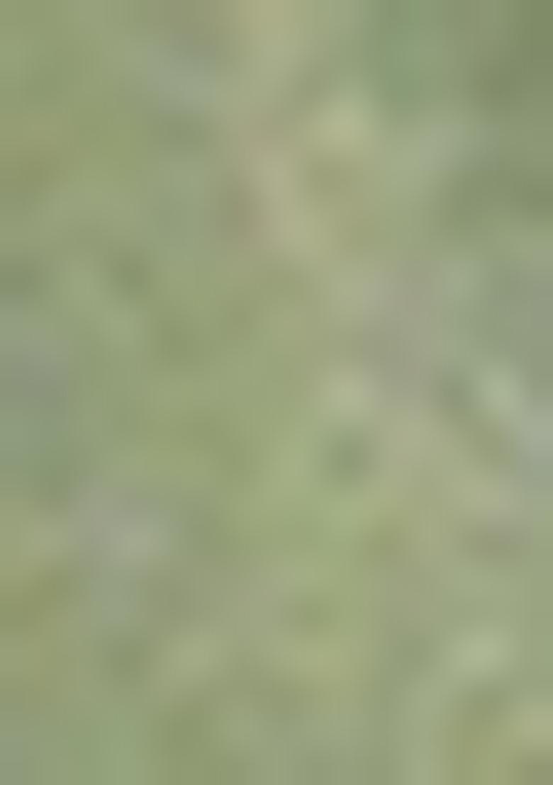 Green Zari Woven Silk Blend Saree Set