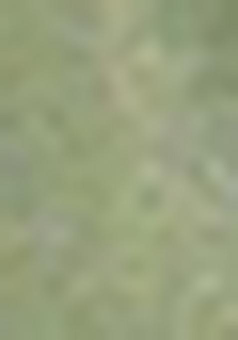 Green Zari Woven Silk Blend Saree Set