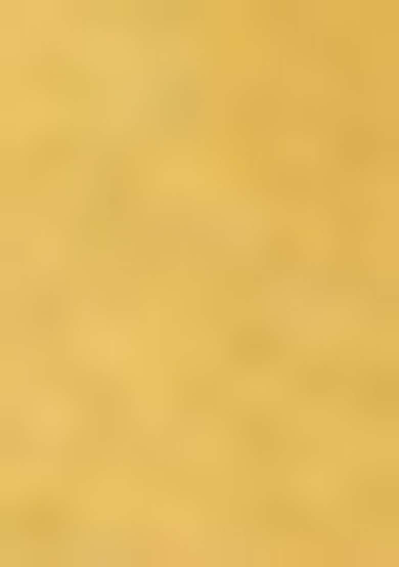 Yellow Zari Woven Silk Blend Saree Set - Indya