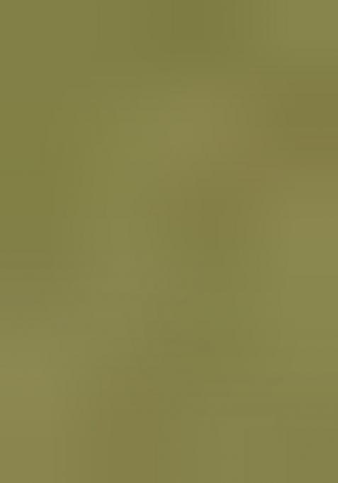 Green Zari Woven Silk Blend Saree Set