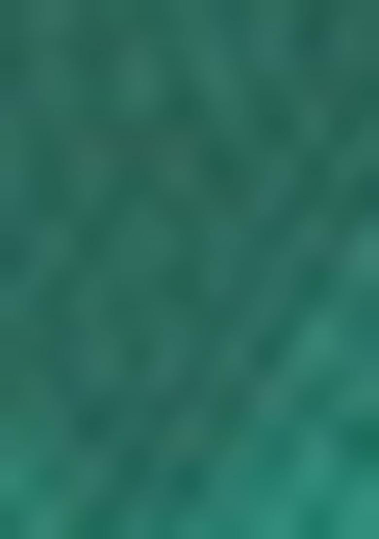 Green Abstract Print Silk Blend Saree Set