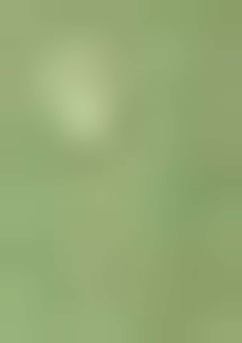Green Chiffon Saree Set with Abstract Print for Diwali | Wedding & Festive Wear - Indya
