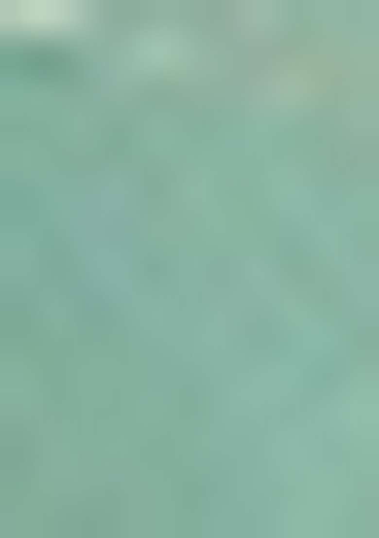 Sea Green Chiffon Saree Set with Abstract Print for Diwali | Wedding & Festive Wear - Indya