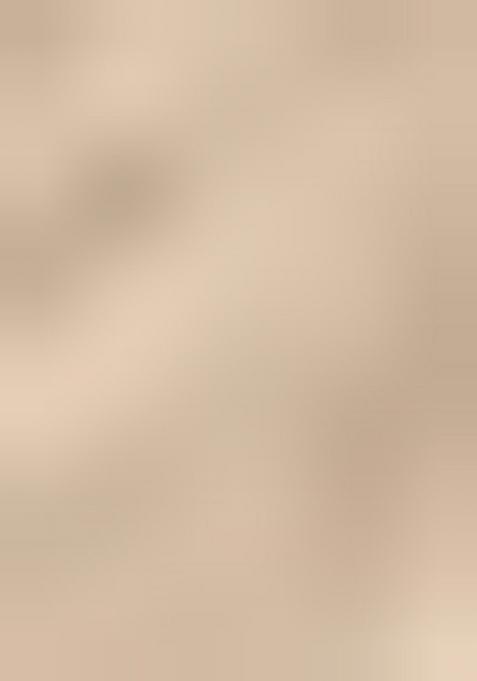 Light Gold Floral Print Art Silk Saree Set