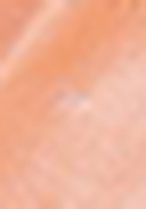 Red Zari Woven Art Silk Saree Set