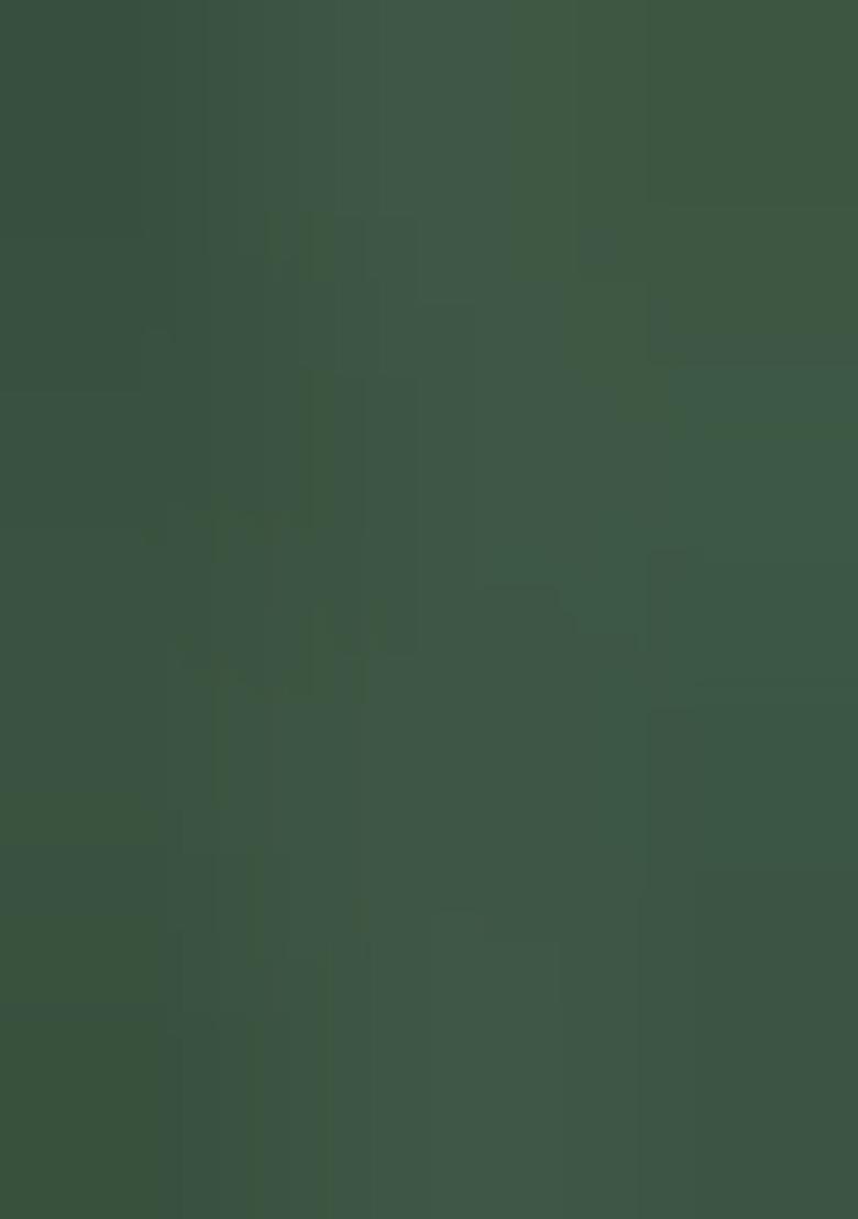 Green Abstract Print Silk Blend Saree Set