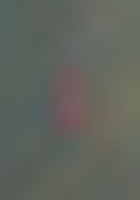 Red Zari Woven Tissue Saree Set