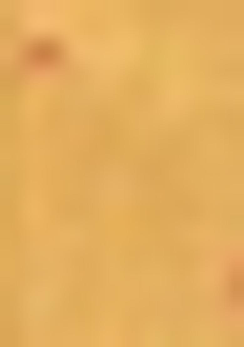 Pink Zari Woven Tissue Saree Set