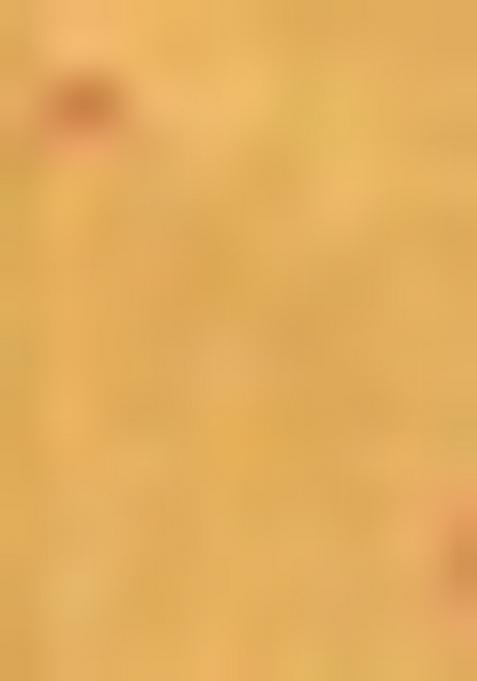 Pink Zari Woven Tissue Saree Set