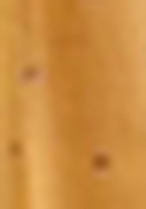 Purple Zari Woven Tissue Saree Set