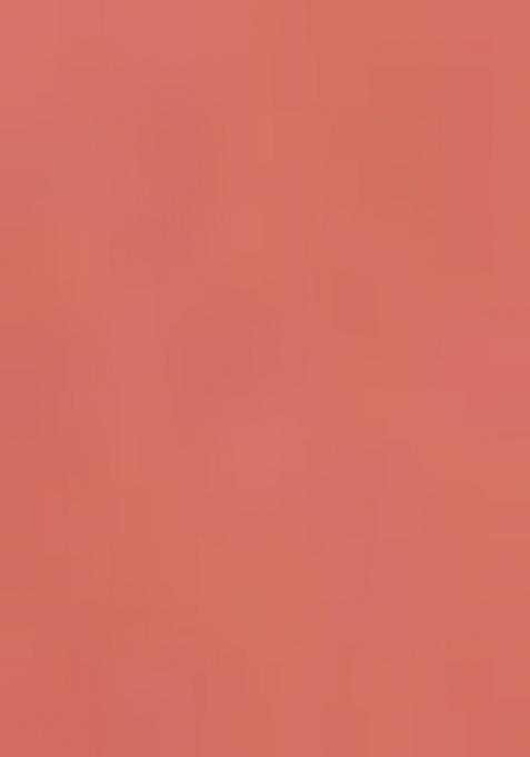 Green Abstract Print Organza Saree Set