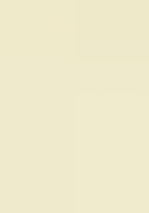 Green Abstract Print Organza Saree Set