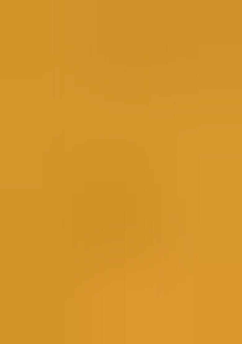 Mustard Yellow Zari Woven Organza Saree Set