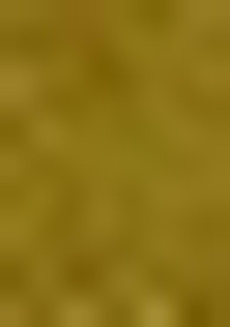 Green Zari Woven Organza Saree Set