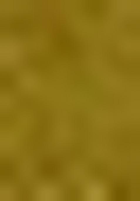 Green Zari Woven Organza Saree Set