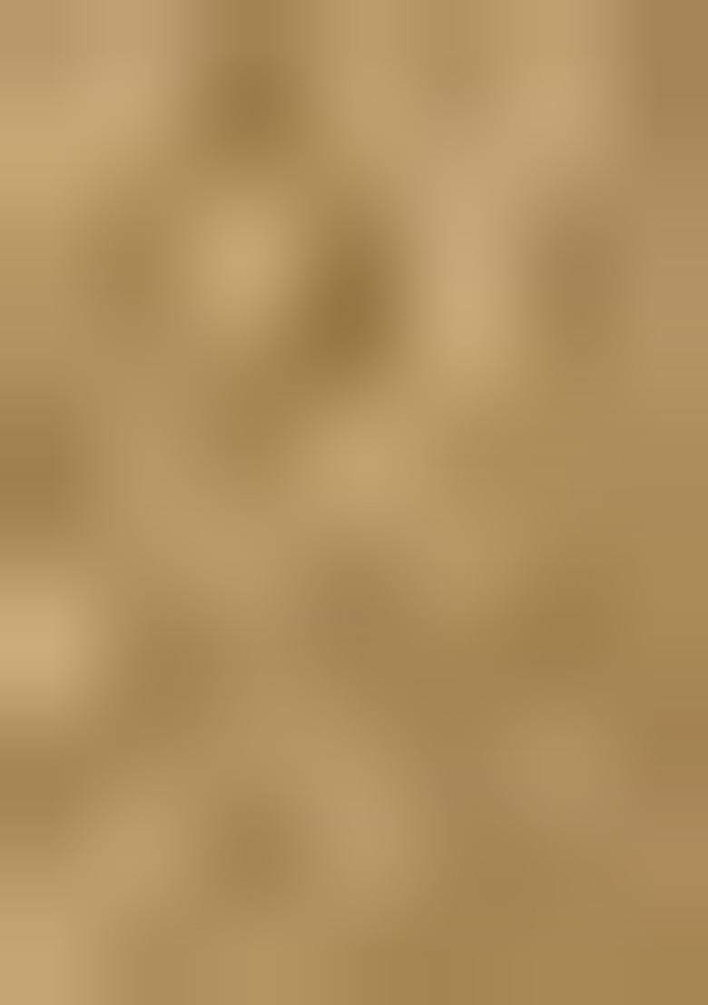 Green Zari Woven Organza Saree Set