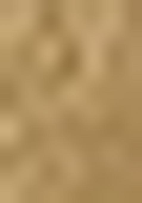 Green Zari Woven Organza Saree Set