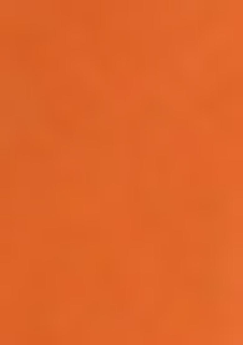 Green Abstract Print Organza Saree Set