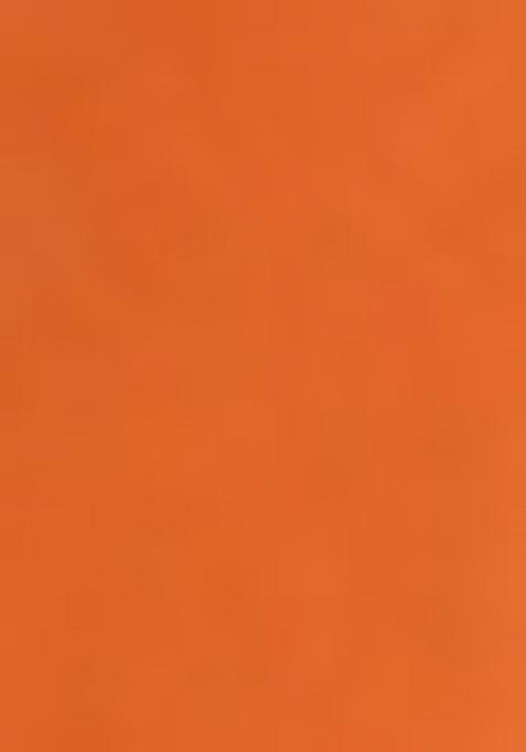 Green Abstract Print Organza Saree Set