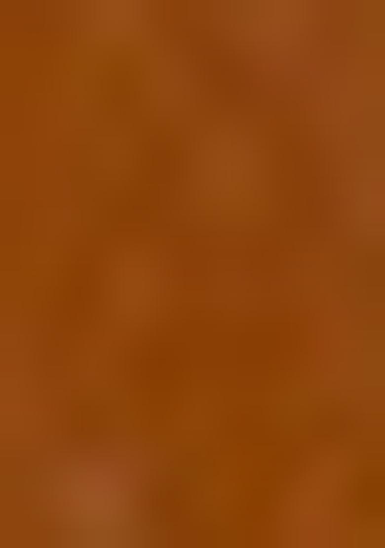 Rust Brown Resham Work Crepe Saree Set