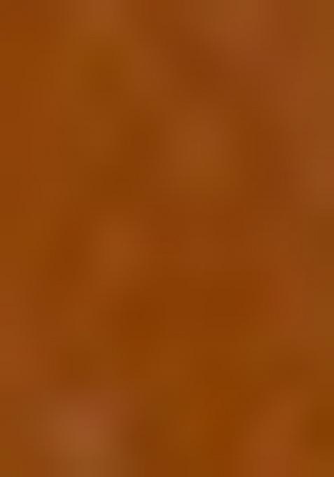 Rust Brown Resham Work Crepe Saree Set